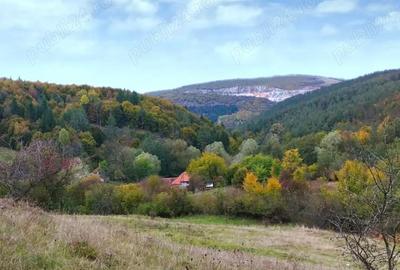 Casă cu 4 camere în Cărpinet - 3
