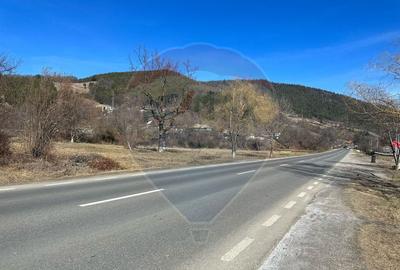 Teren de 3606 mp, în Pângărați - 7