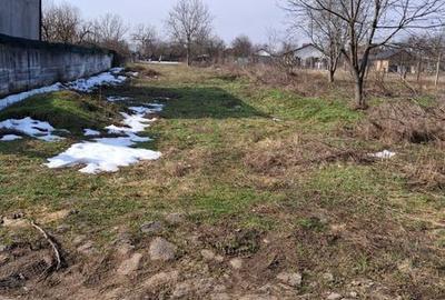 Teren de 1600 mp, în Dascălu - 2