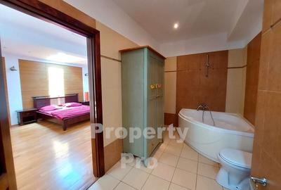 Duplex, 6 camere, Herastrau Duplex, 6 camere, Herastrau - 18