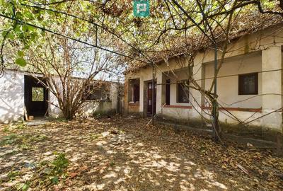 Casa batraneasca in Sustra, Timis - 12