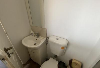 Apartament cu o camera Calea Lipovei Apartament cu o camera Calea Lipovei - 9