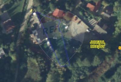 Comision 0% | 1.142 mp | Zona premium de vile - Dambul Morii, Brasov - 8