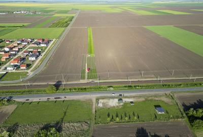 Inchiriere platforma teren 4.000 mp Curtici - 25