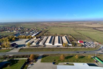 Platformă betonată de închiriat până la 6000 mp, Remetea Mare lângă A1 - 4