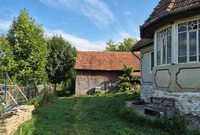 Casă cu 3 camere în Filea de Jos - 4