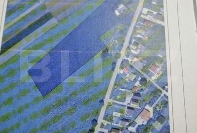 Teren de 17693 mp, în Moara