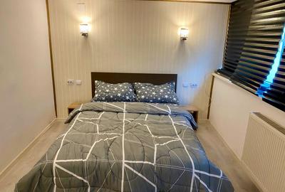 Apartament cu 2 camere decomandat, mobilat în Calea Plevnei - 2