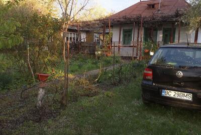 Casă cu 4 camere în Moldoveni - 3