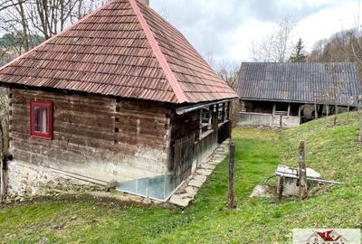 Casa de vanzare in Muntii Apuseni cu 17.596 mp teren - 4