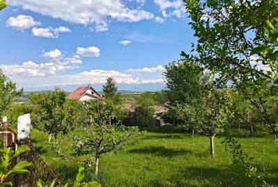Teren intravilan de 1000 mp, în Daia - 2