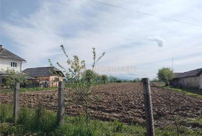 Teren intravilan in Razoare - 5