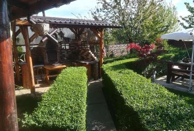 Casă cu 4 camere cu Teren 3000 Mp în Teiș - 3