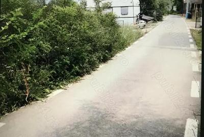 Teren de 3000 mp, în Dubova - 4