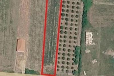 Teren de 2679 mp, în Odoreu - 1