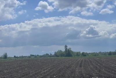 Teren de 7800 mp, în Rădăuți - 1
