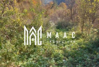 Teren de 35000 mp, în Bistra - 1