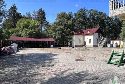 Hotel de inchiriat in Branesti - 8
