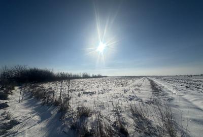 Teren agricol extravilan de 5300 mp, în Frătăuții Vechi - 3