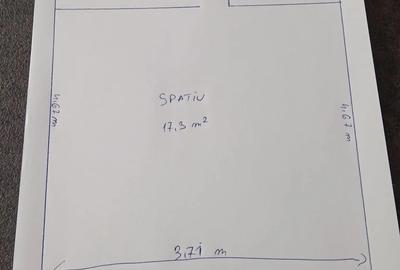 Inchiriez spa?iu comercial, zona pia?a centrala - 3