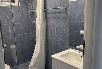 Apartament cu 2 camere decomandat în Pantelimon - 4