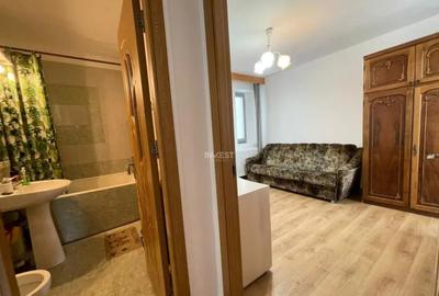 Apartament cu 3 camere decomandat, mobilat în Podu Roș - 6
