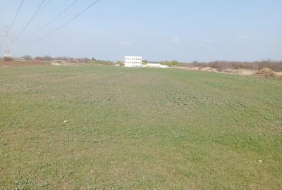 Teren de 20000 mp, în Ștefăneștii de Jos - 1
