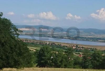 Teren de 8743 mp, în Tileagd - 2