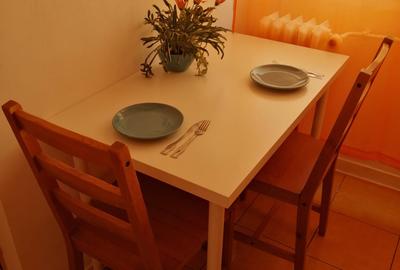 Dristor, garsoniera langa metrou, 350 euro, libera - 7