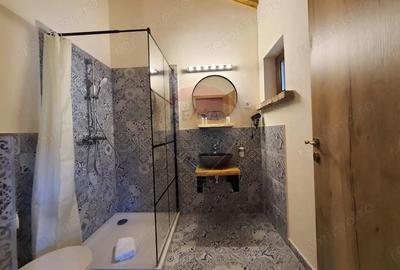 Casă cu 6 camere cu Teren 3900 Mp în Mediaș - 13