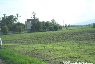 Teren în Poșta Câlnău - 5