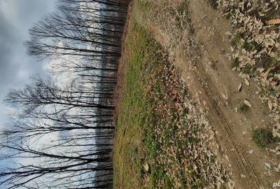 Teren de vanzare C.Caransebesului km 5 - 4