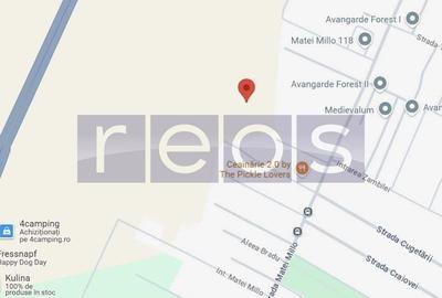 TEREN DE VANZARE| MATEI MILLO | 481 MP | FRONT 19 MP | OPORTUNITATE | - 3