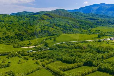 Teren Construcții intravilan de 10000 mp, în Glăjărie - 11