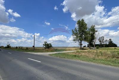 Teren investitie 4.350 mp | Balta Pasarea, langa Bucure?ti Teren investitie 4.350 mp | Balta Pasarea, langa Bucure?ti - 7