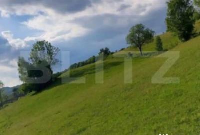 Teren de 4500 mp, în Ponor - 2