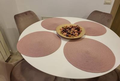 De inchiriat apartament 2 camere - Parcul Carol - 19