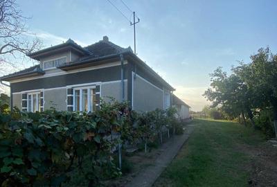 Casă cu 3 camere în Gepiu - 6
