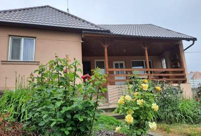 Comuna Augustin, casa deosebita, renovata integral, mobilata si utilata full!!! - 3