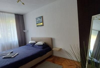 Apartament cu 2 camere semidecomandat, mobilat în Take Ionescu - 2
