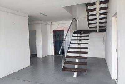 Hala Industriala, Parcul Industrial Bors 2, De Vanzare - 9