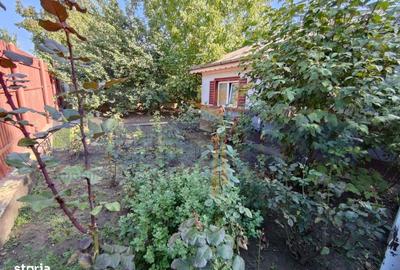 Casă cu 3 camere în Albești - 14