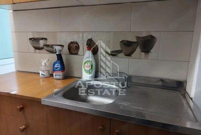 Apartament 1 camera, demisol, incalzire clima, zona Balcescu - 2