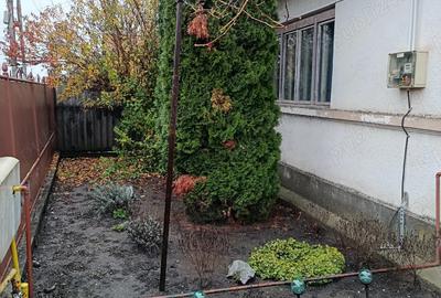 Case de vanzare Sancraiu de Mures - 3