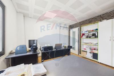 Spațiu industrial, de 472.66000366211 mp, în Theodor Pallady - 9