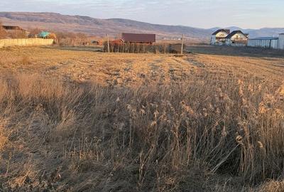 Teren de 1000 mp, în Buhoci - 4