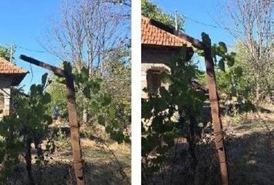 Casa si teren Odobesti, cota parte 1/2, ID: R2785160 - 8