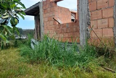 Constructie casa Peciu Nou - 1