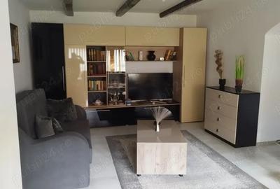 Modernul si rusticul la un loc - 5