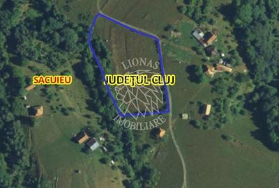 Teren de 8335 mp, în Săcuieu - 2